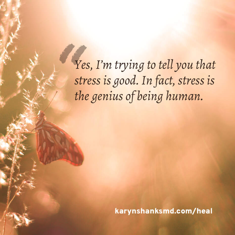 Yes, I’m trying to tell you that stress is good. In fact, stress is the genius of being human. - Karyn Shanks MD