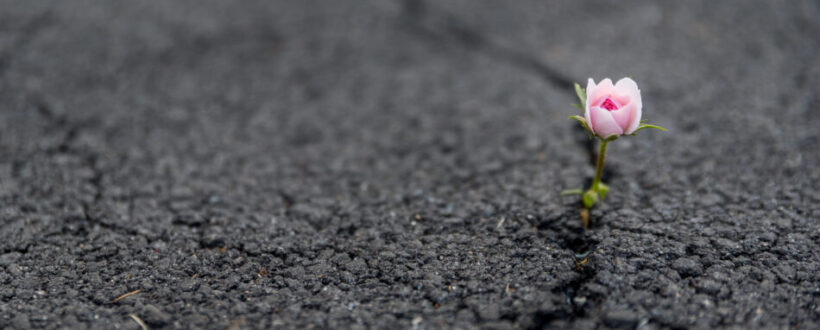 unbroken, resilience, heal